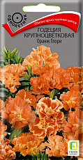Семена Годеция крупноцветковая Оранж Глори цв/п 0,2 г Поиск