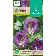 Семена Кобея фиолетовая цв/п 0,3 г  ЕС