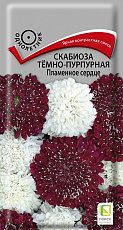 Семена Скабиоза тeмно-пурпурная Пламенное Сердце цв/п 10 шт Поиск